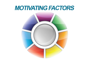 Motivating Factors Index