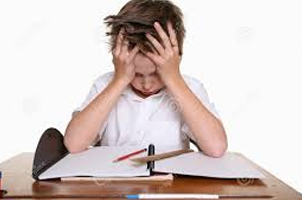 Learning Styles Assessment 